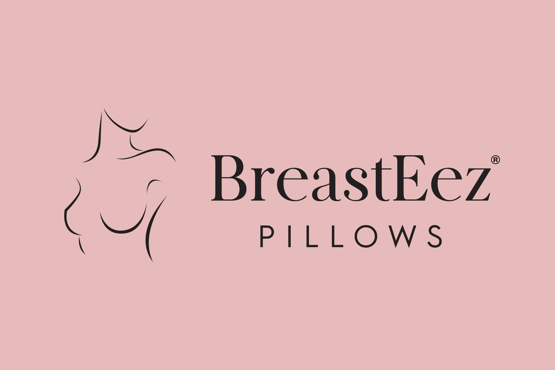 breasteez pillow logo
